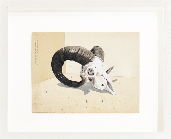DEGLIN Bart - Still life with skull